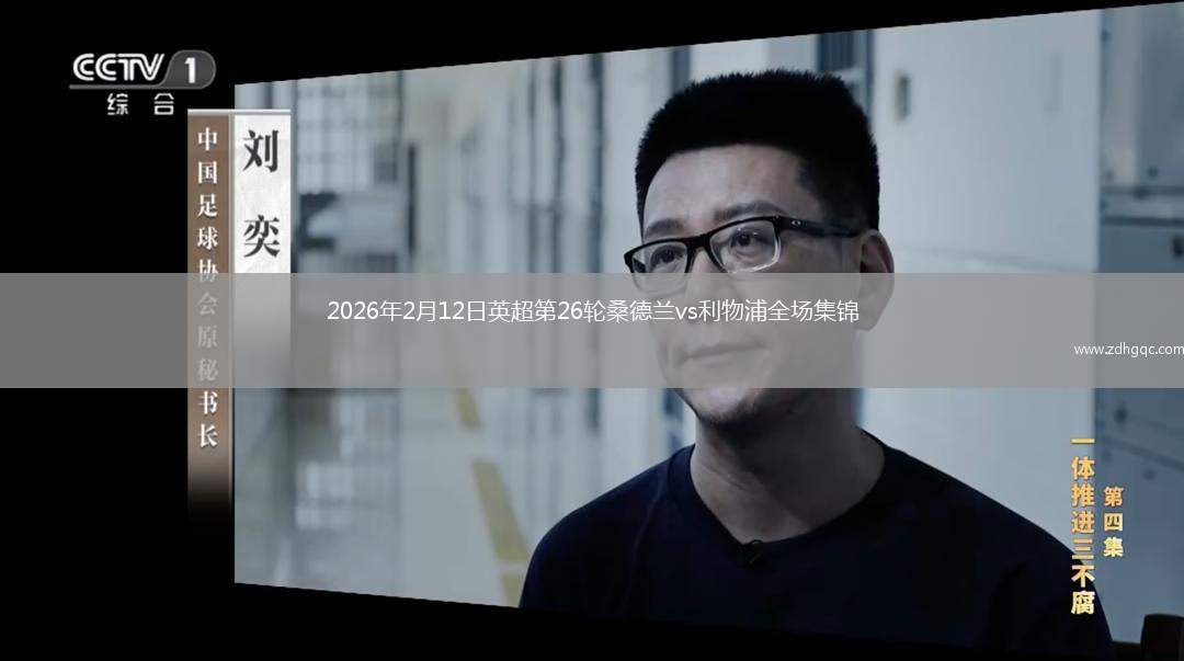 2026年2月12日英超第26轮桑德兰vs利物浦全场集锦