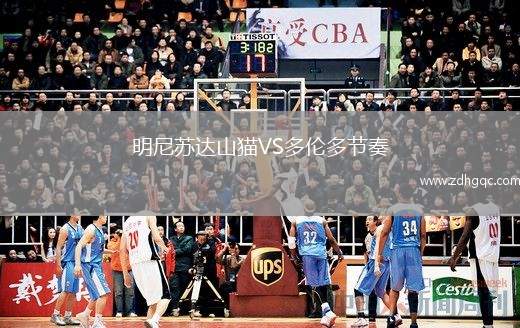 明尼苏达山猫VS多伦多节奏
