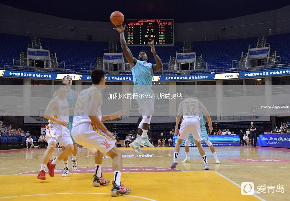 加利尔夏普尔VS内斯兹奥纳