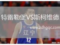 特雷勒堡VS斯柯维德