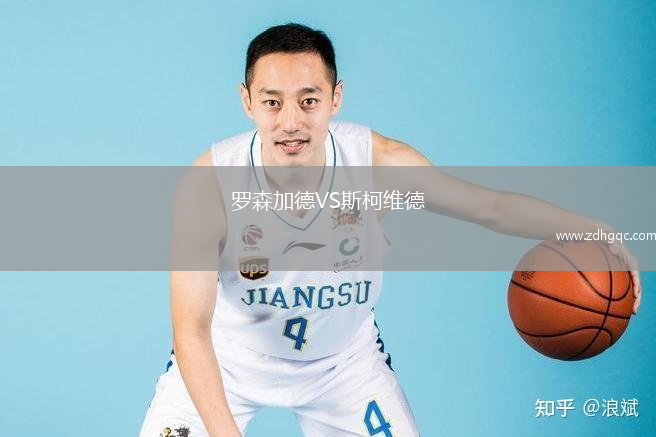 罗森加德VS斯柯维德