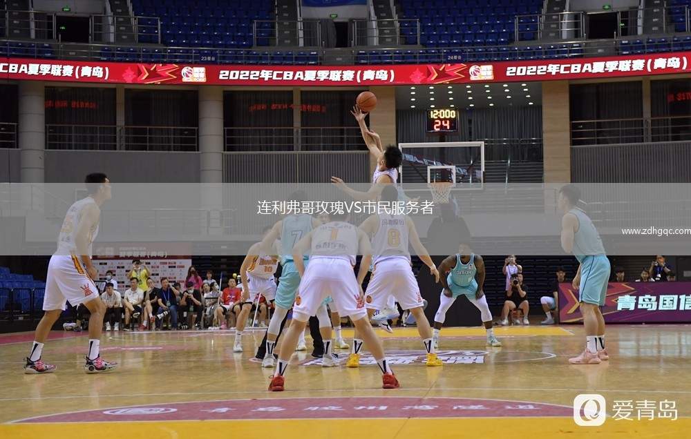 连利弗哥玫瑰VS市民服务者