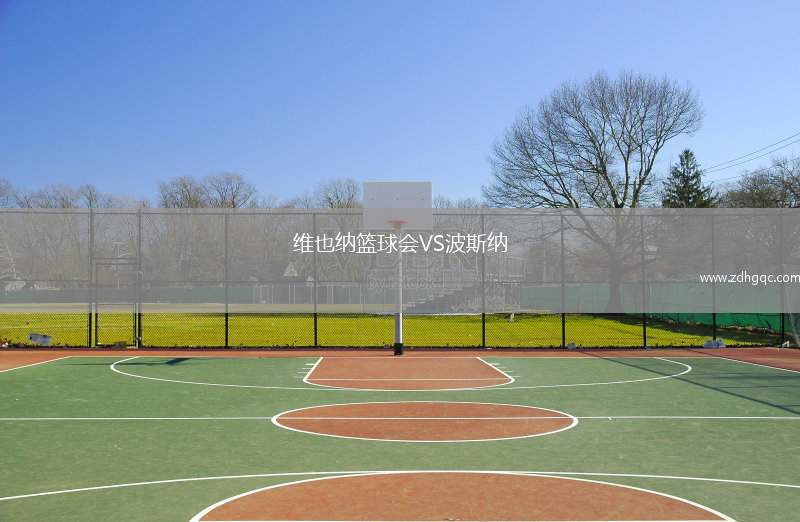 维也纳篮球会VS波斯纳