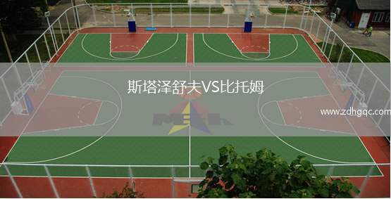 斯塔泽舒夫VS比托姆