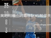奥地利维也纳青年队VS帕多夫