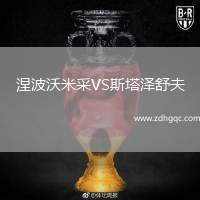 涅波沃米采VS斯塔泽舒夫