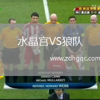 水晶宫VS狼队