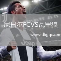 尼日尔FCVS瓦里狼