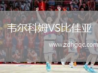 韦尔科姆VS比佳亚