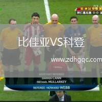 比佳亚VS科登