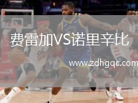 费雷加VS诺里辛比