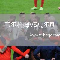 韦尔科姆VS高尔斯