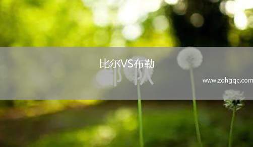 比尔VS布勒