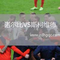 诺尔比VS斯柯维德
