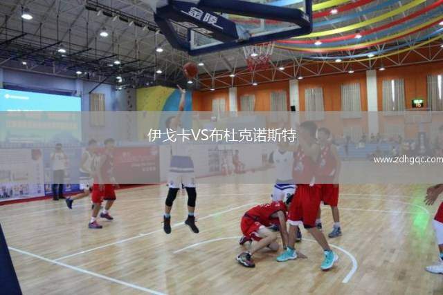 伊戈卡VS布杜克诺斯特