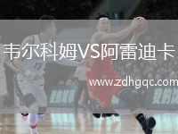 韦尔科姆VS阿雷迪卡