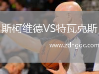 斯柯维德VS特瓦克斯
