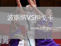 波斯纳VS伊戈卡