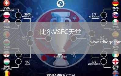 比尔VSFC天堂