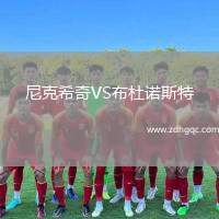 尼克希奇VS布杜诺斯特