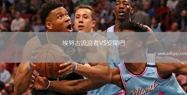 埃努古流浪者VS安耶巴