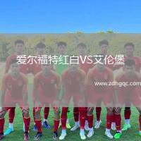 爱尔福特红白VS艾伦堡