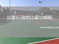 法鲁VS维格比霍尔姆斯