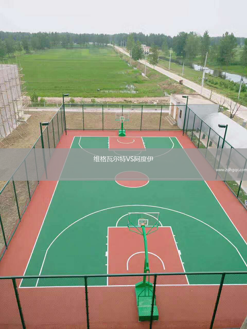 维格瓦尔特VS阿度伊