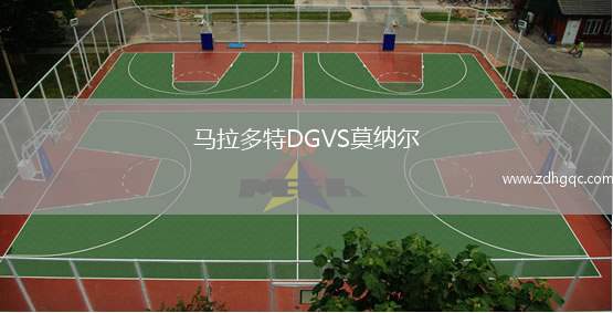 马拉多特DGVS莫纳尔