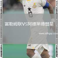 富勒姆联VS阿德莱德彗星