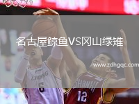 名古屋鲸鱼VS冈山绿雉
