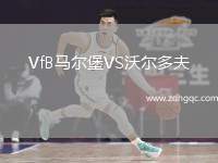 VfB马尔堡VS沃尔多夫