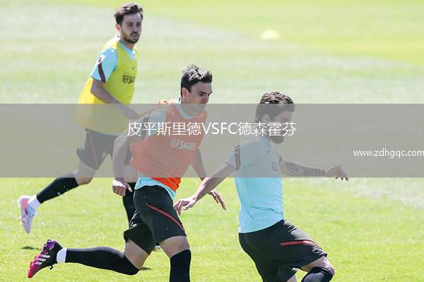 皮平斯里德VSFC德森霍芬