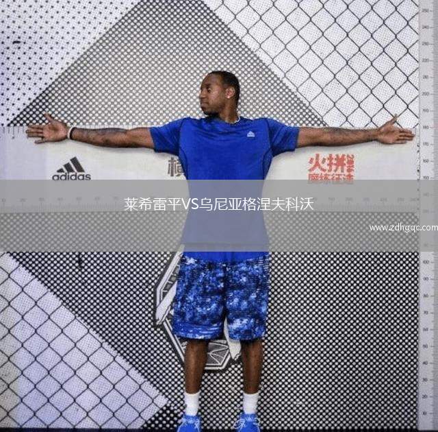 莱希雷平VS乌尼亚格涅夫科沃