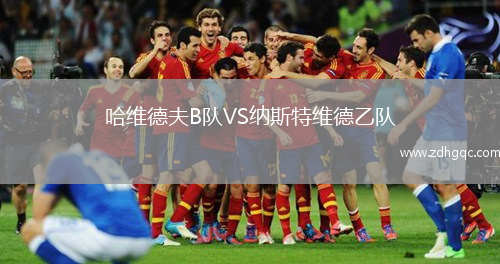 哈维德夫B队VS纳斯特维德乙队
